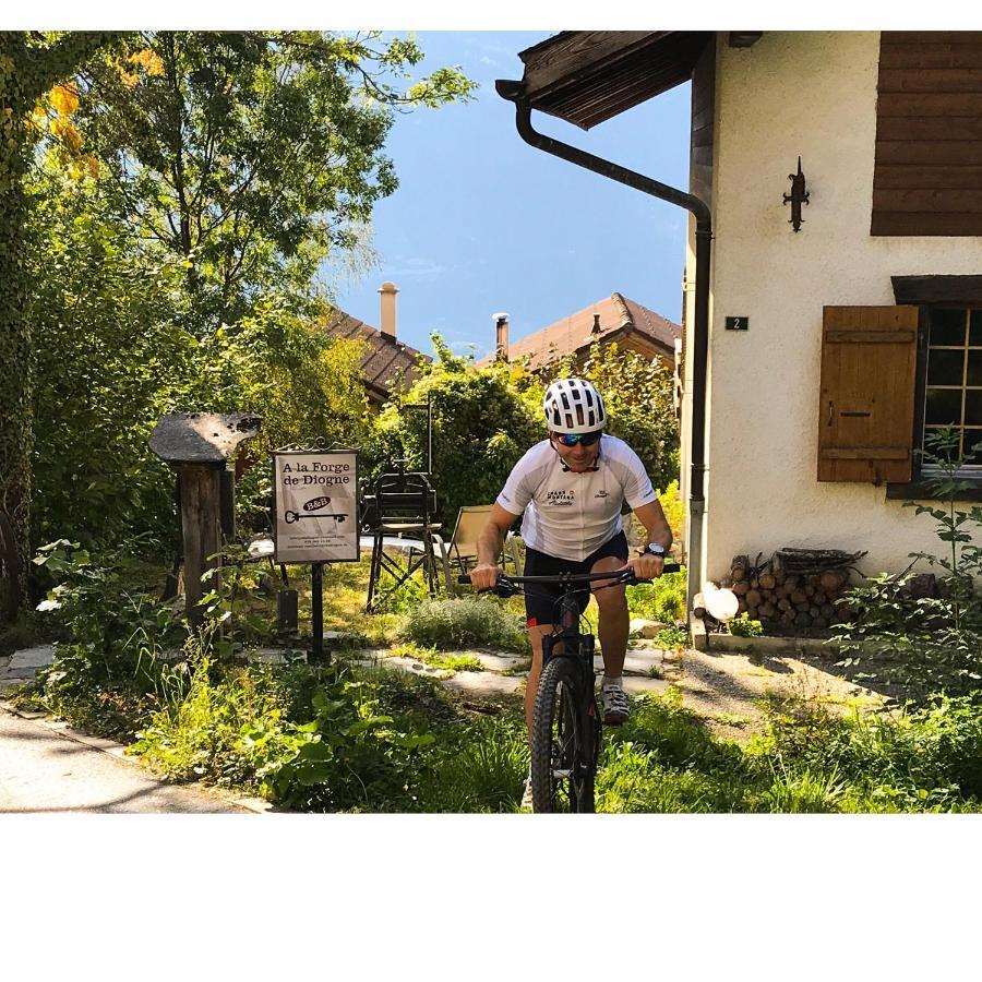 B&B La Forge De Diogne ครองส์มอนตานา ภายนอก รูปภาพ
